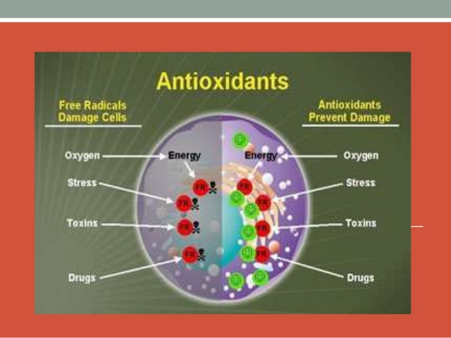 ib.php?s=g&g=0F8B154D6300473E80E4A704FD7